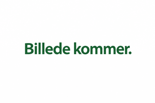 Spindel til gravrammesæt – praktisk ved anlæg af gravsted - uden brug af værktøj